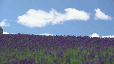 ������������ʮ���׵Ĵ����Ϊ���úڰ��е��������������