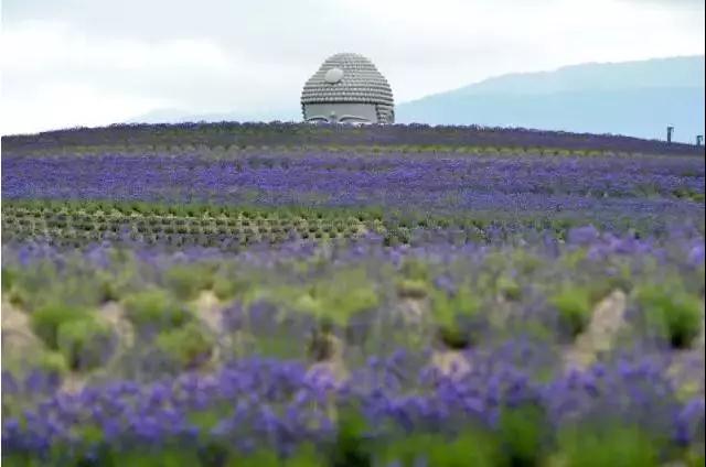 ������������ʮ���׵Ĵ����Ϊ���úڰ��е��������������