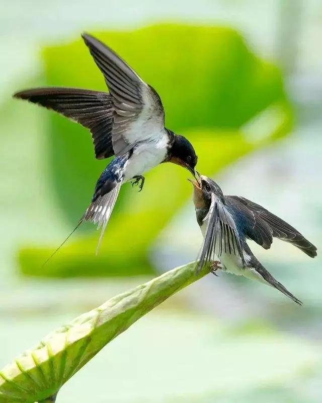 我最爱的人,在轮回里伤我最深... 我最爱的人,在轮回里伤我最深...