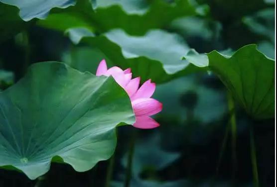 ʱ����ʡ����Ҫ��ͬһ���ط��������Σ�