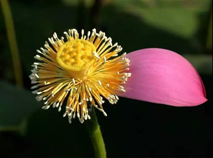 ʱ����ʡ����Ҫ��ͬһ���ط��������Σ�