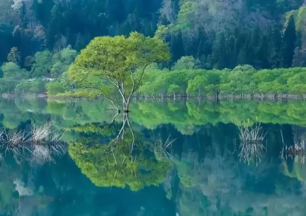 修行心态不同,境界就会不同 修行心态不同,境界就会不同