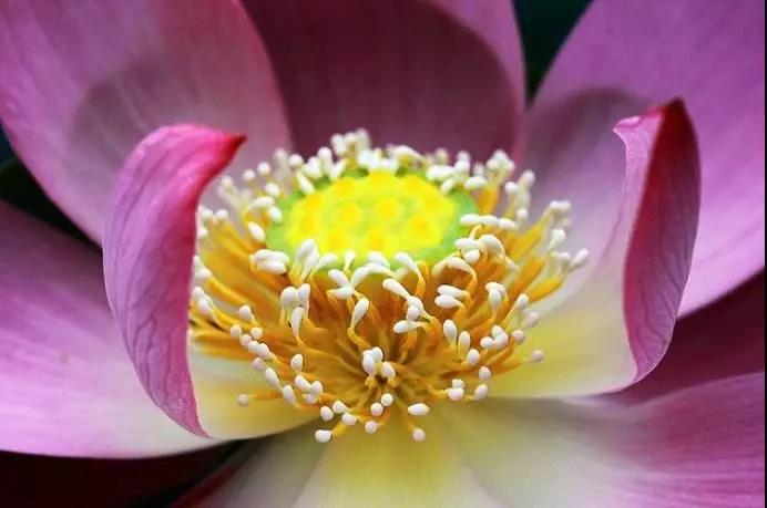 修行心态不同,境界就会不同 修行心态不同,境界就会不同