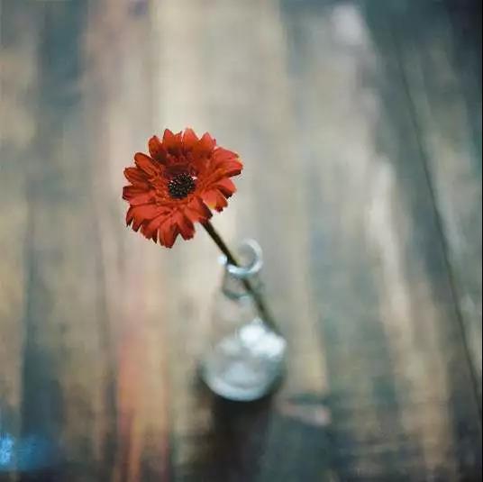 ������̣���ʱ����Ϊ��