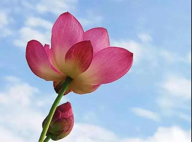 印光法师:诸恶众善,皆须在心地上论 印光法师:诸恶众善,皆须在心地上论