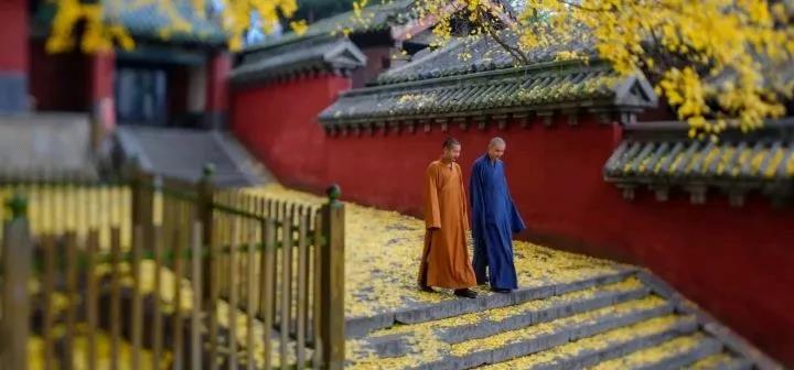 ��һ��ƽ�Ȱ��ݵ��ģ����Ǵ�����������