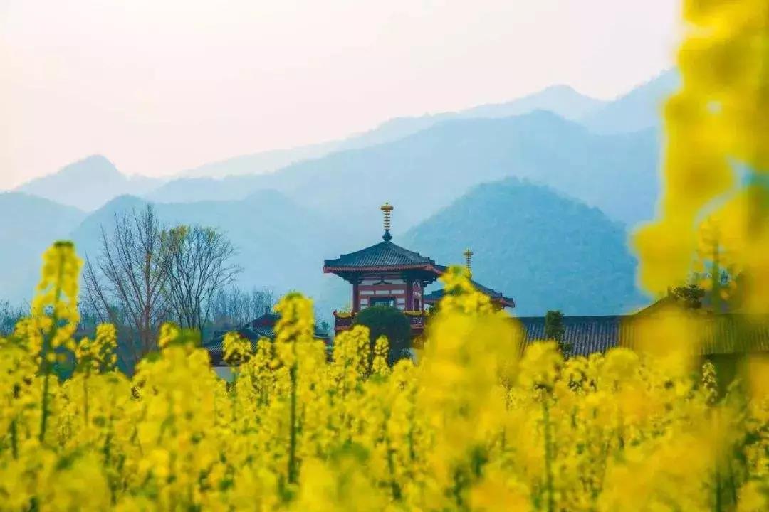 ��һ��ƽ�Ȱ��ݵ��ģ����Ǵ�����������