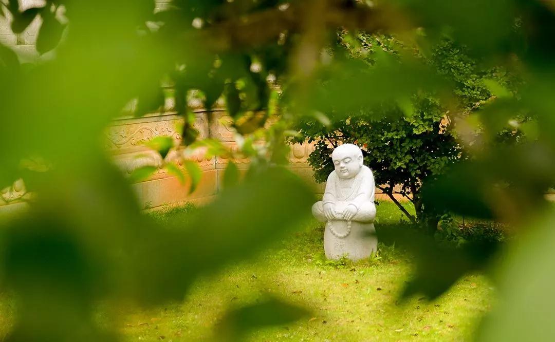 �������˵����ģ����޹Ұ����ǽ���