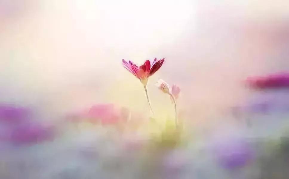 �������˵����ģ����޹Ұ����ǽ���