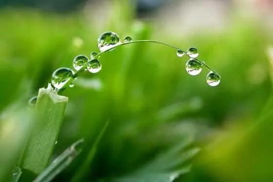 �������˵����ģ����޹Ұ����ǽ���