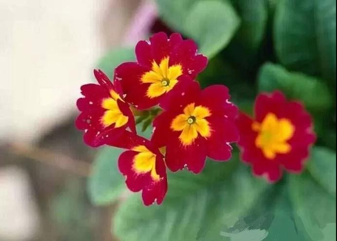 ��ʵ���߳�������Ҫ��ֻ��һ���µ��ӽ�