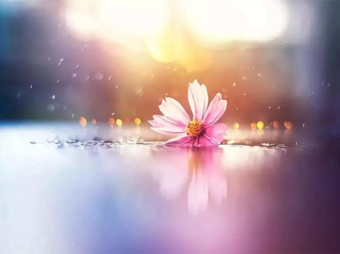 ˭�ܹ����ѹأ�˭����������