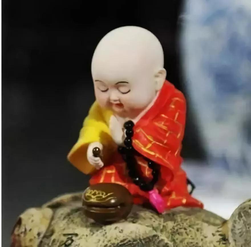 �������ٴ�ʦ��Ȱ������