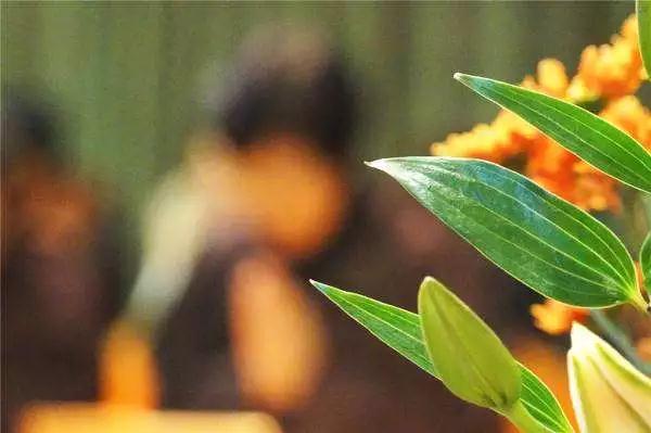 改变心念,这样命运才能改变 改变心念,这样命运才能改变