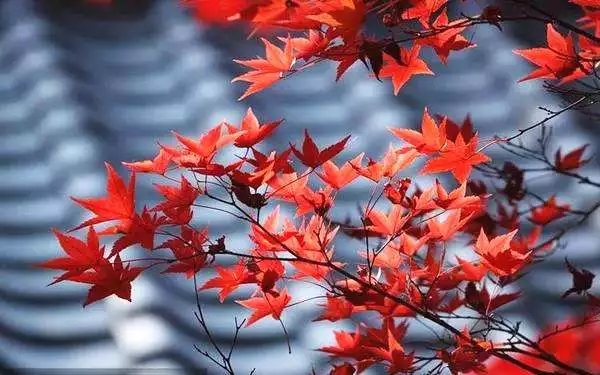 �������ˣ�һ��һ�ж�Ҫ����С��