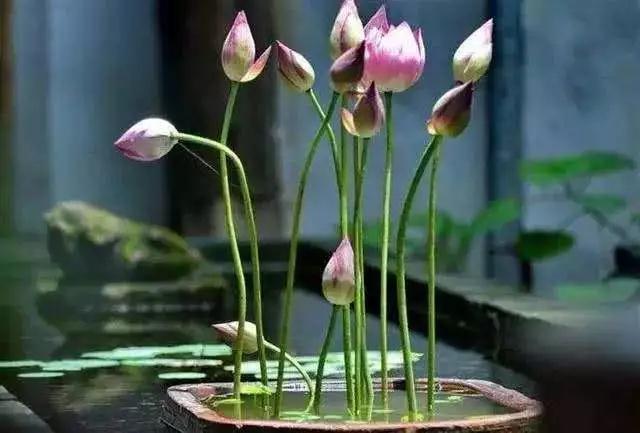 ��������̬�������Ŀ����Ҫ