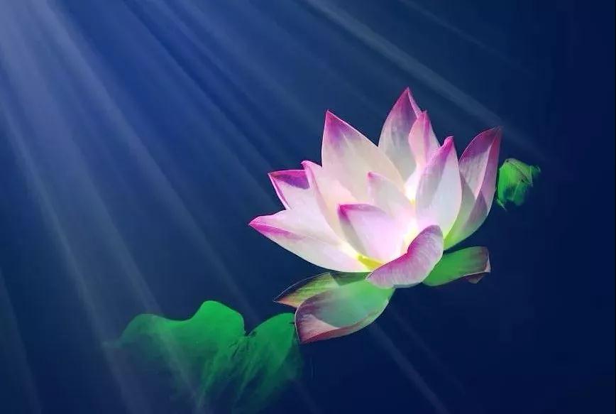 慈悲并不是恩怨不分 慈悲并不是恩怨不分