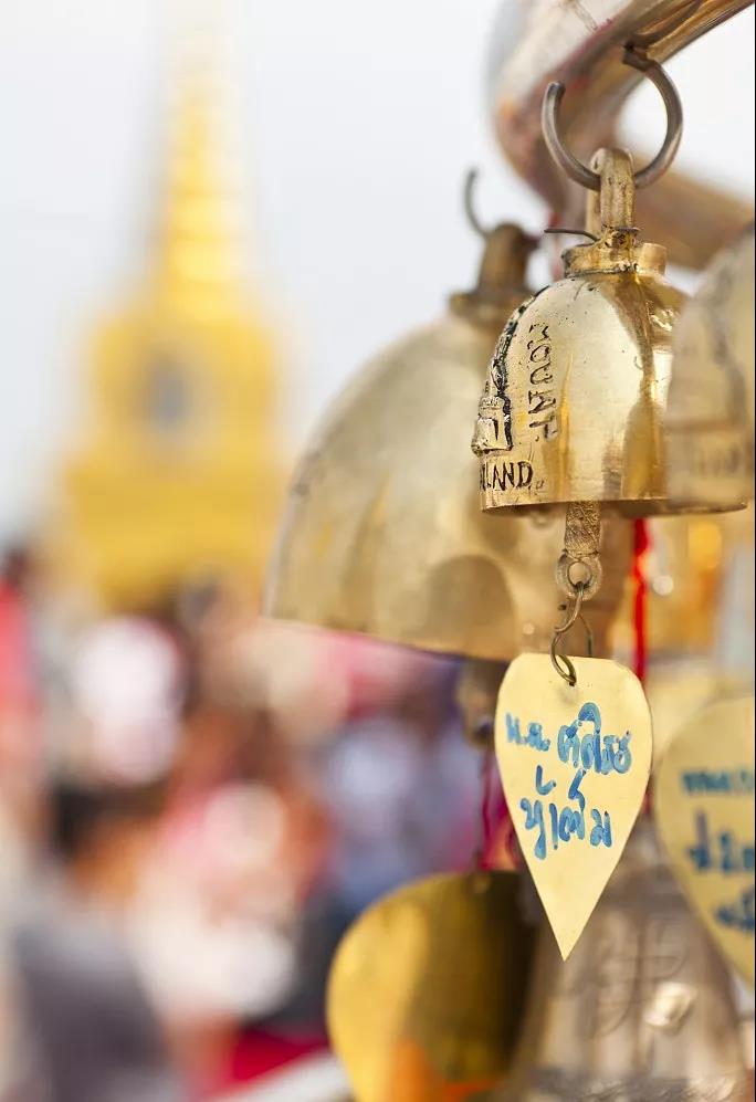 Ե�ֲ�ǿ������������