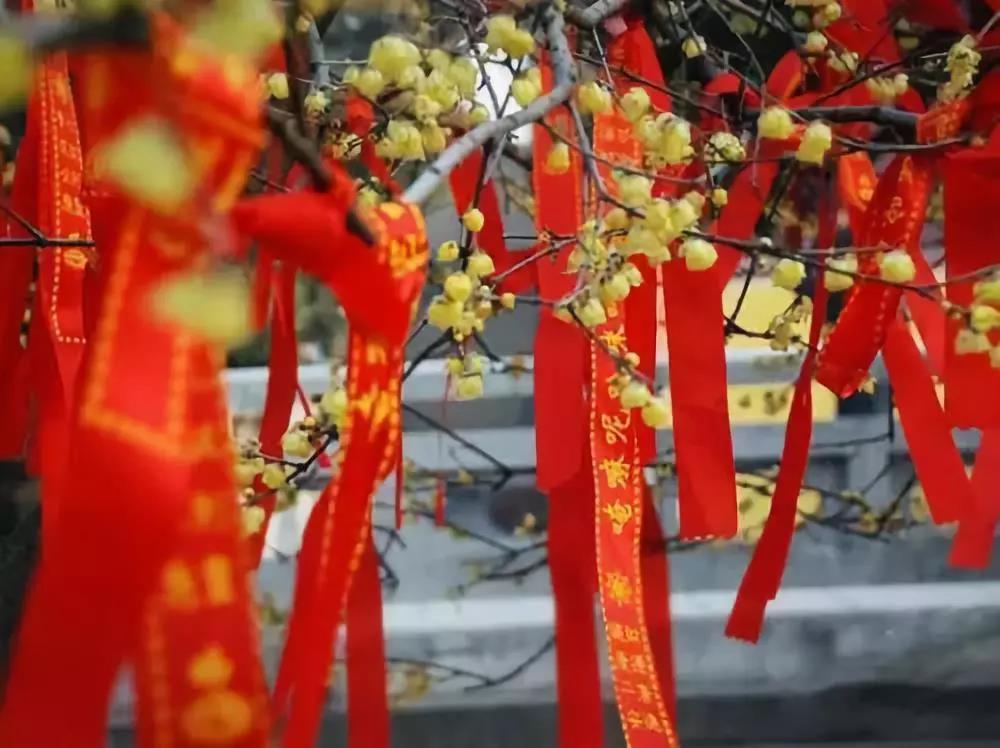 ����ȥ��Ժ���������ǳ�ʶ