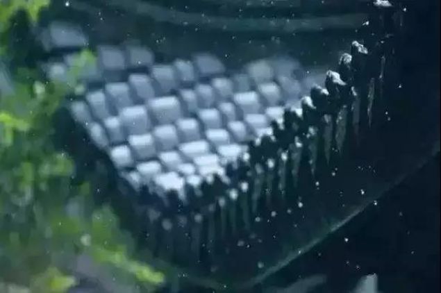 �����Լ����ɹ����������Ǵ�ÿ���峿��ʼ