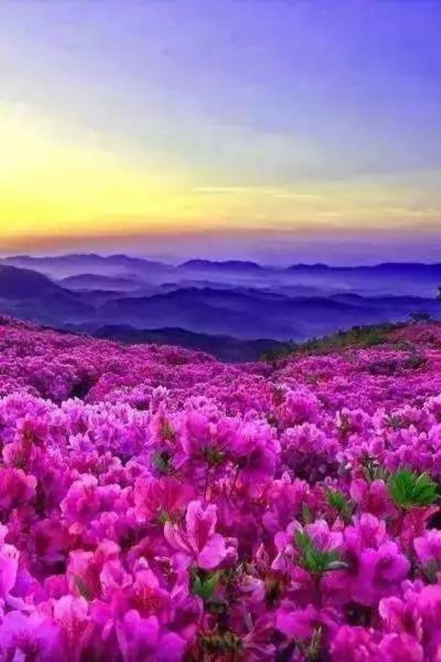 助念对于往生西方到底起什么作用? 助念对于往生西方到底起什么作用?