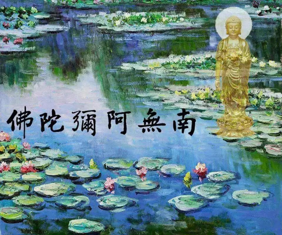 她用一生告诉我们:如何成为净土圣贤? 她用一生告诉我们:如何成为净土圣贤?