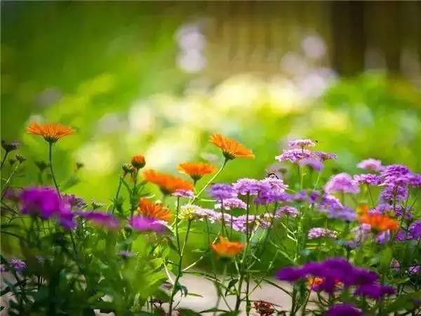 �ǻ۵��˲�����