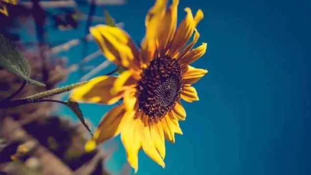 ѧ��Ҫ���磬�����и�����