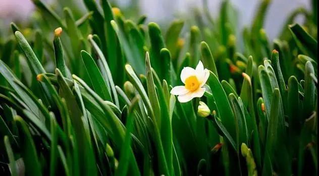 善用其心怎么个“善用”法? 善用其心怎么个“善用”法?