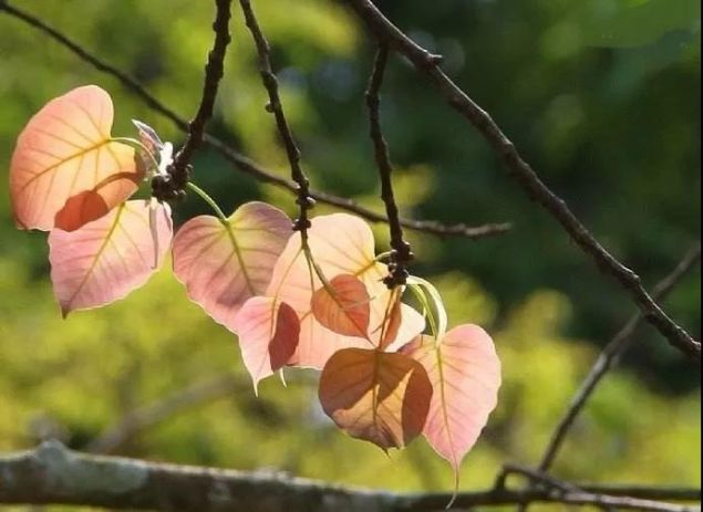 �ͳ������֣�����ִ���֣������ѧ��