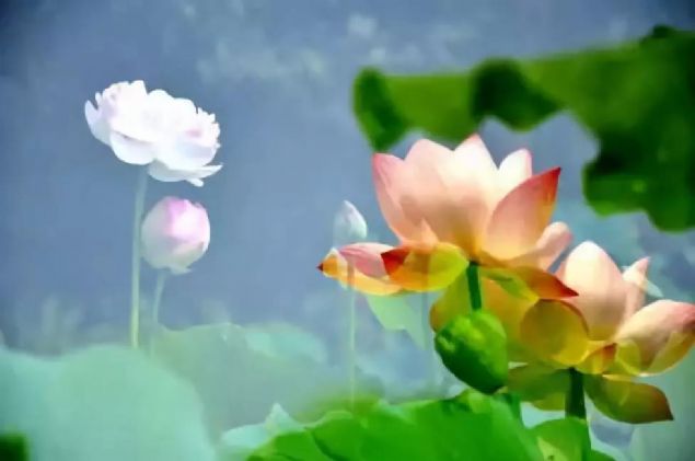 �ͳ������֣�����ִ���֣������ѧ��