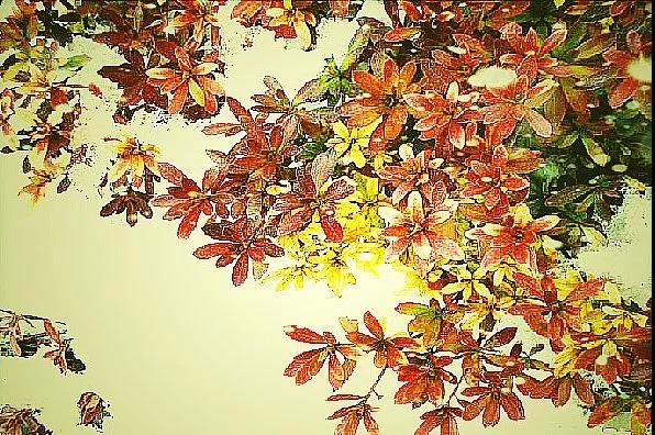 ���˽ڻ��ǡ����˽١���_���Ž�ʾ���������