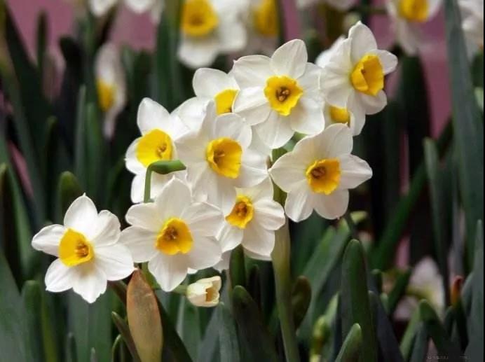 ���˽ڻ��ǡ����˽١���_���Ž�ʾ���������