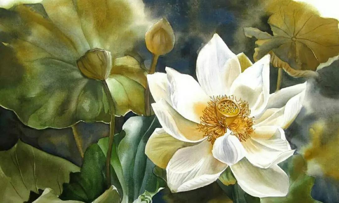 ���˽ڻ��ǡ����˽١���_���Ž�ʾ���������