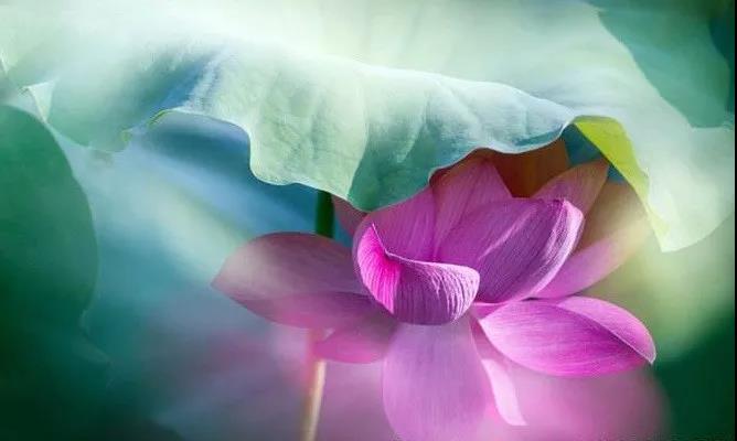 为什么有时会突然闪现非常恶的念头? 为什么有时会突然闪现非常恶的念头?