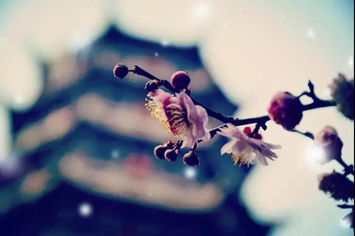 ���ļ��º��ѳ��ã�����Ϊ��ִ��