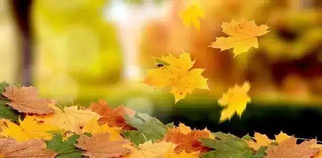 ���ļ��º��ѳ��ã�����Ϊ��ִ��