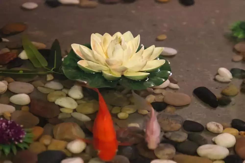 ���ļ��º��ѳ��ã�����Ϊ��ִ��