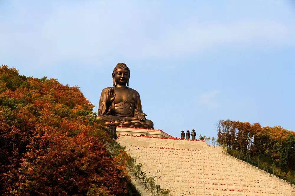 �ͳ������֣�����ִ���֣������ѧ��