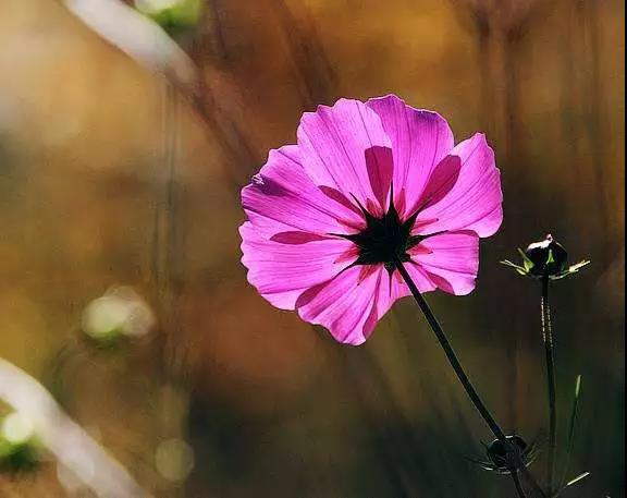 ��ڵ��²�Ҫһ�����ϣ�Ҫץ��ʱ��