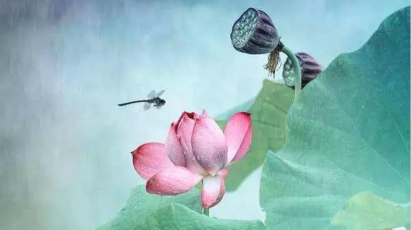 ԭ����Щ�˺�����ˣ������ǳɾ����㣡