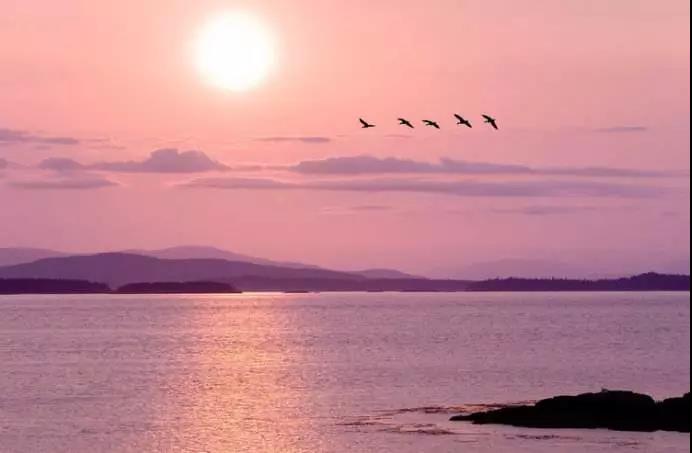 �������������������Լ�