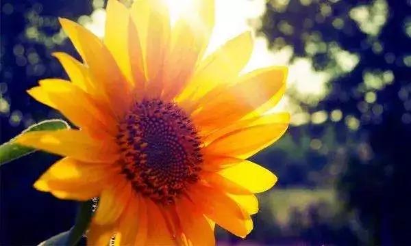 �������������������Լ�