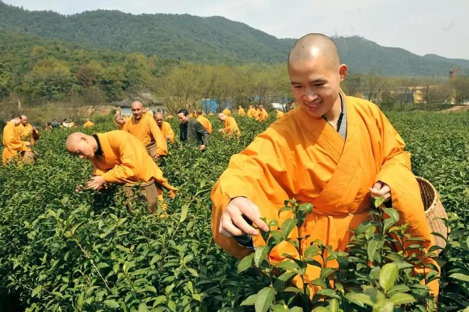 �������䣺�両�䣬���ݳޣ���ӹ�ף�