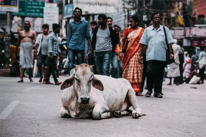 һ�۵�����һ�����ã���ʵ��ġ������ֻ�ͼ�������������