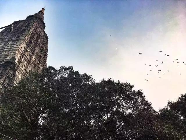 һ�۵�����һ�����ã���ʵ��ġ������ֻ�ͼ�������������