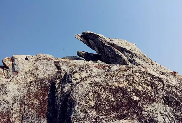 һ�۵�����һ�����ã���ʵ��ġ������ֻ�ͼ�������������