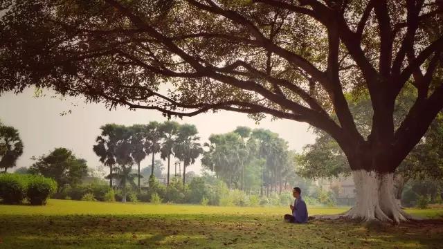 һ�۵�����һ�����ã���ʵ��ġ������ֻ�ͼ�������������