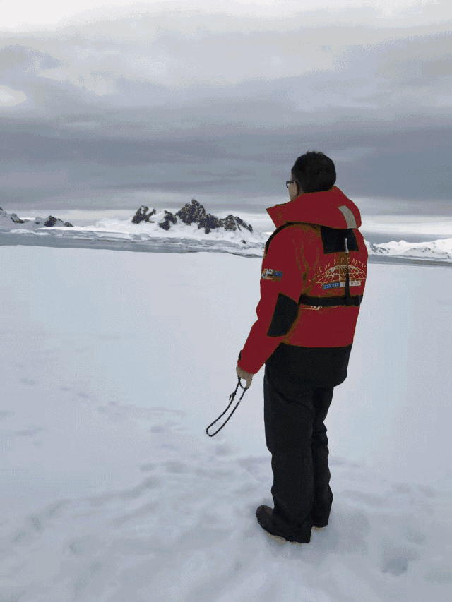 һ�۵�����һ�����ã���ʵ��ġ������ֻ�ͼ�������������