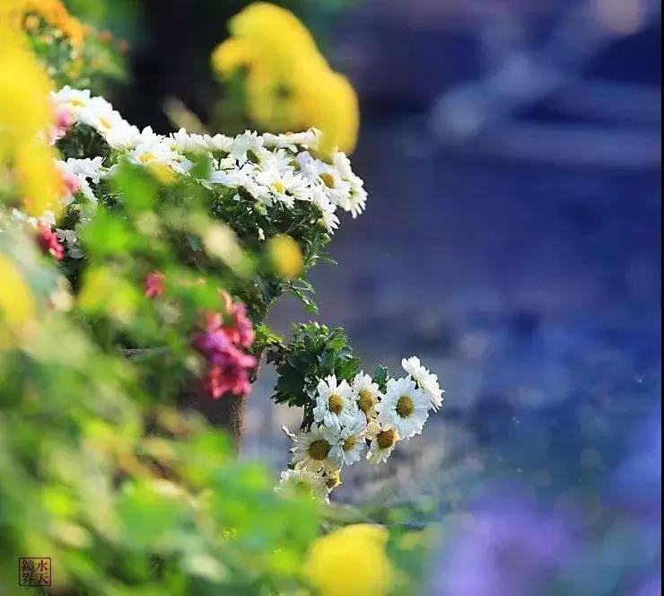 你正为吃亏、受苦而闷闷不乐吗? 你正为吃亏、受苦而闷闷不乐吗?